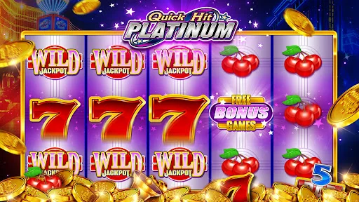 Quick Hit Casino Slots Games screenshot 2